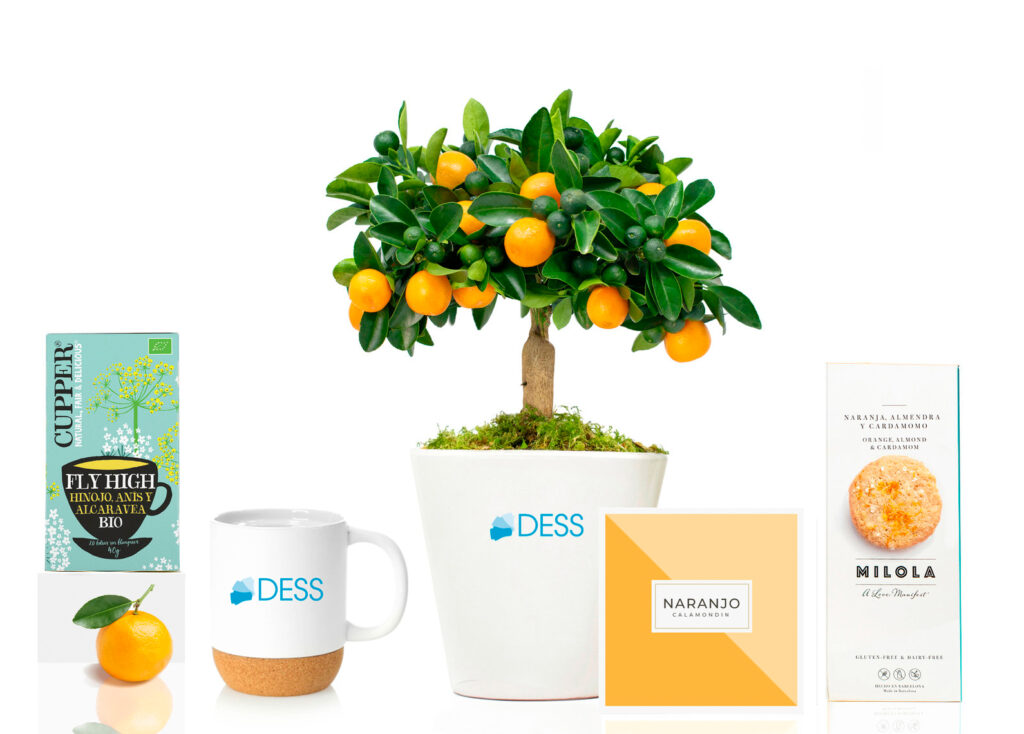 Arbolito naranjo con taza y complementos de desayuno Dessdental